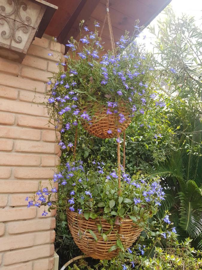 Marco's House Dolianova