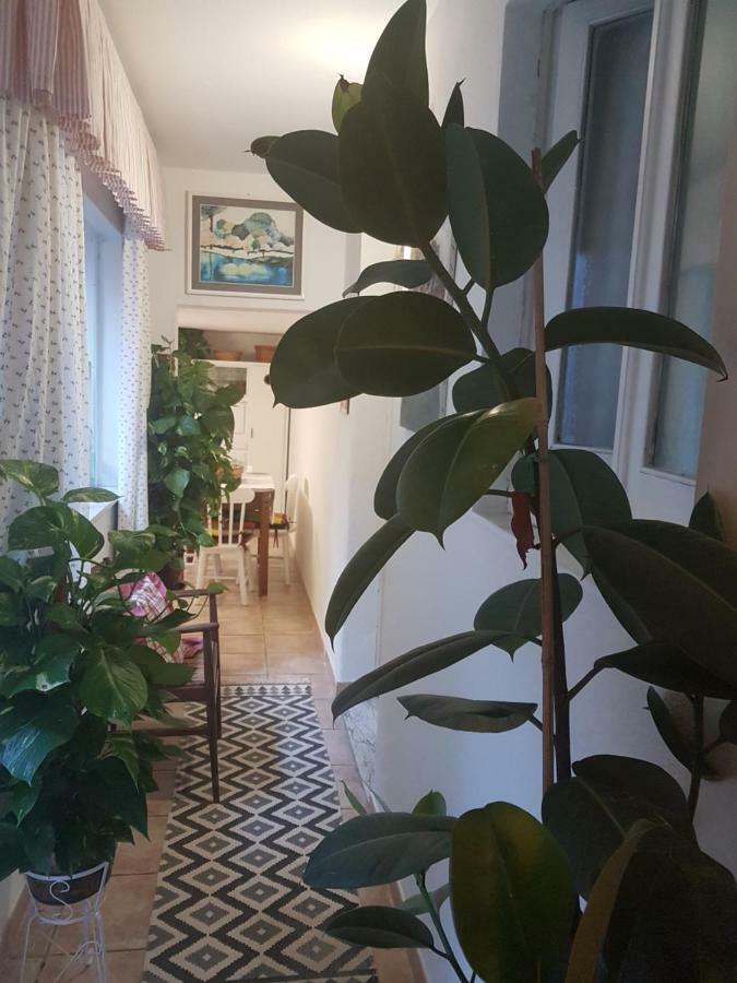 Marco's House Holiday home Dolianova